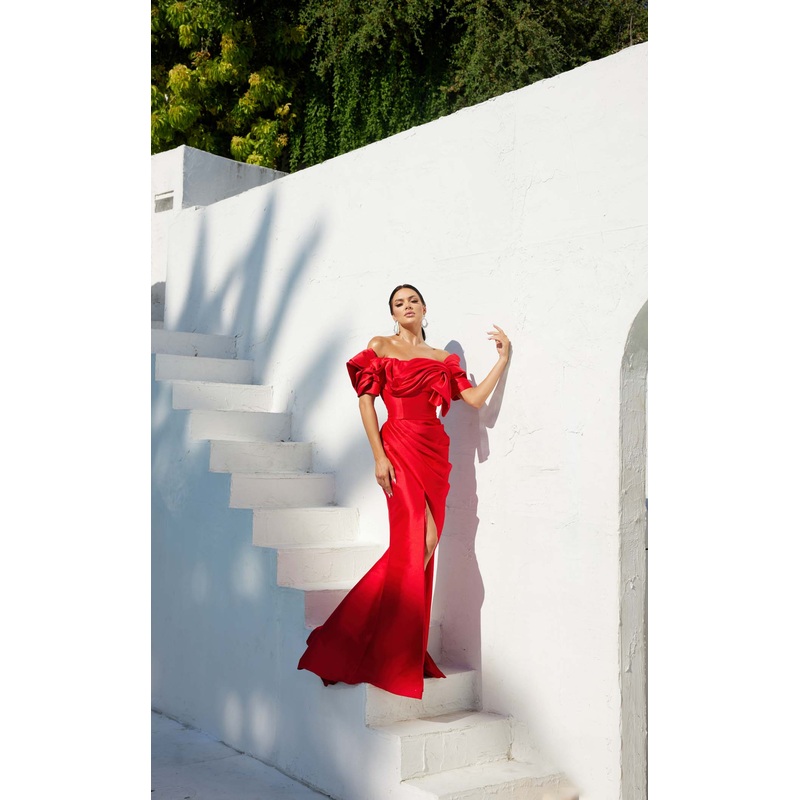 Terani 241E2413 Dress Hunter