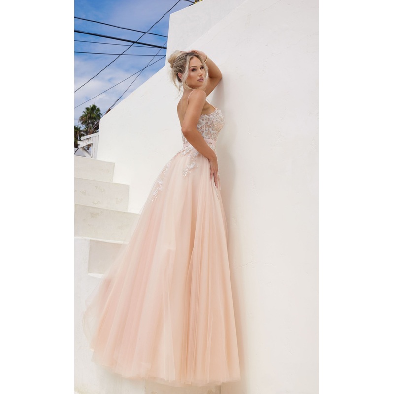 Terani 241P2025 Dress Blush