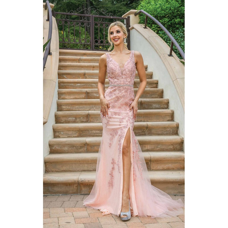 Dancing Queen 4212 Dress Blush