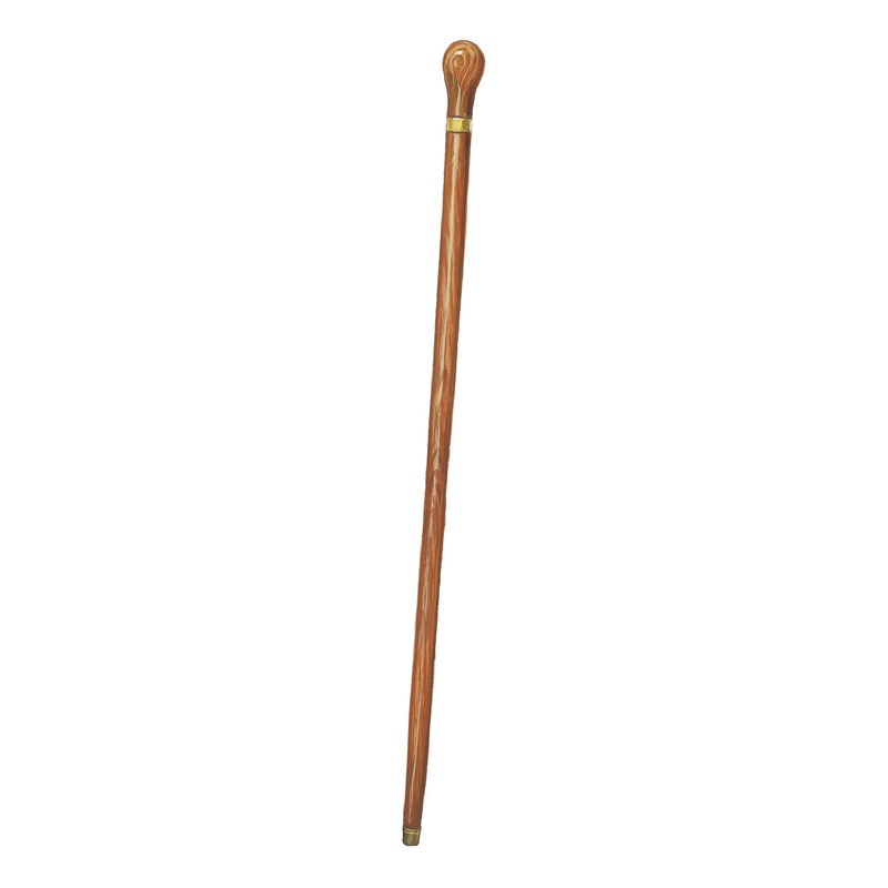 Dual Function Cane