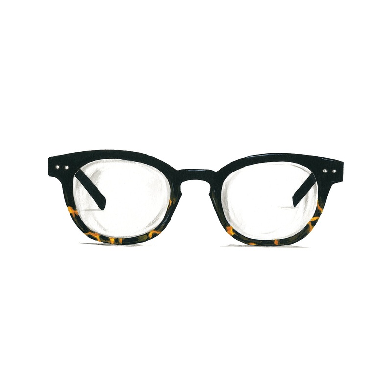 Translator Readers Black Tortoise