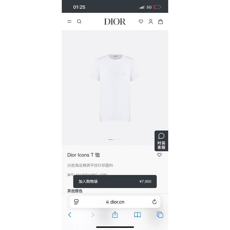 Dior Classic Logo Embroidered T-Shirt | 260g Cotton | SXXL