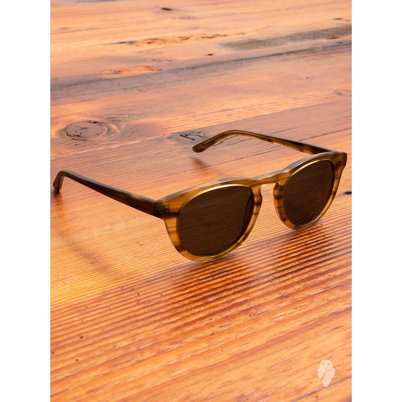 “Timeless” Sunglasses in Horn